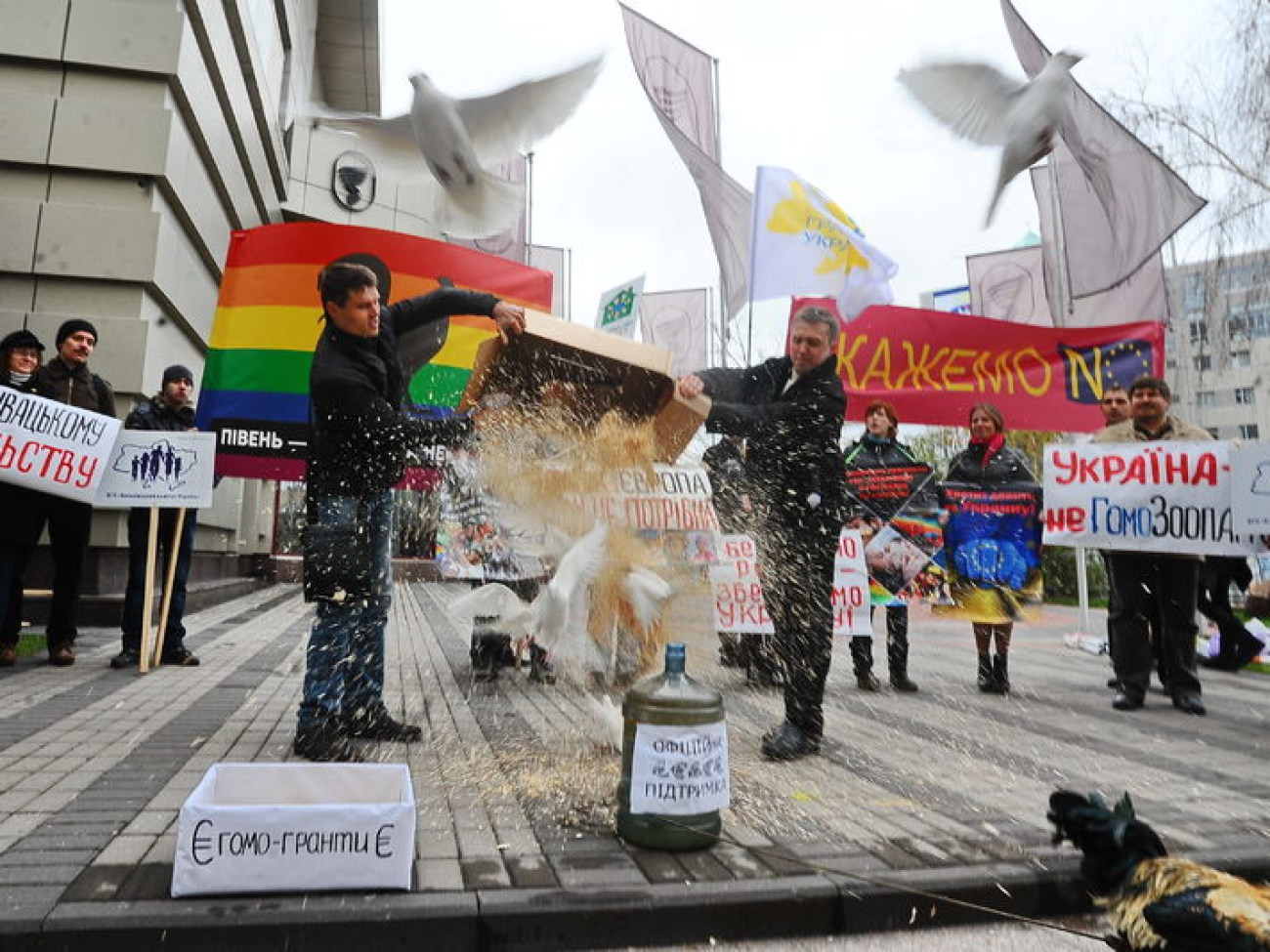 У Представительства Евросоюза в Киеве состоялось зоо &#8212; действие, 14 ноября 2013г.