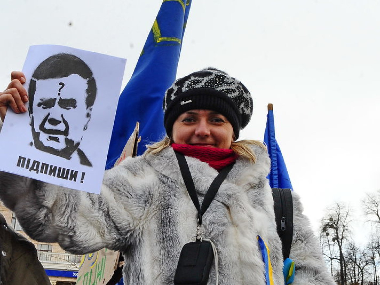 В Киеве два Майдана: сторонников и противников ЕС, 29 ноября 2013г.