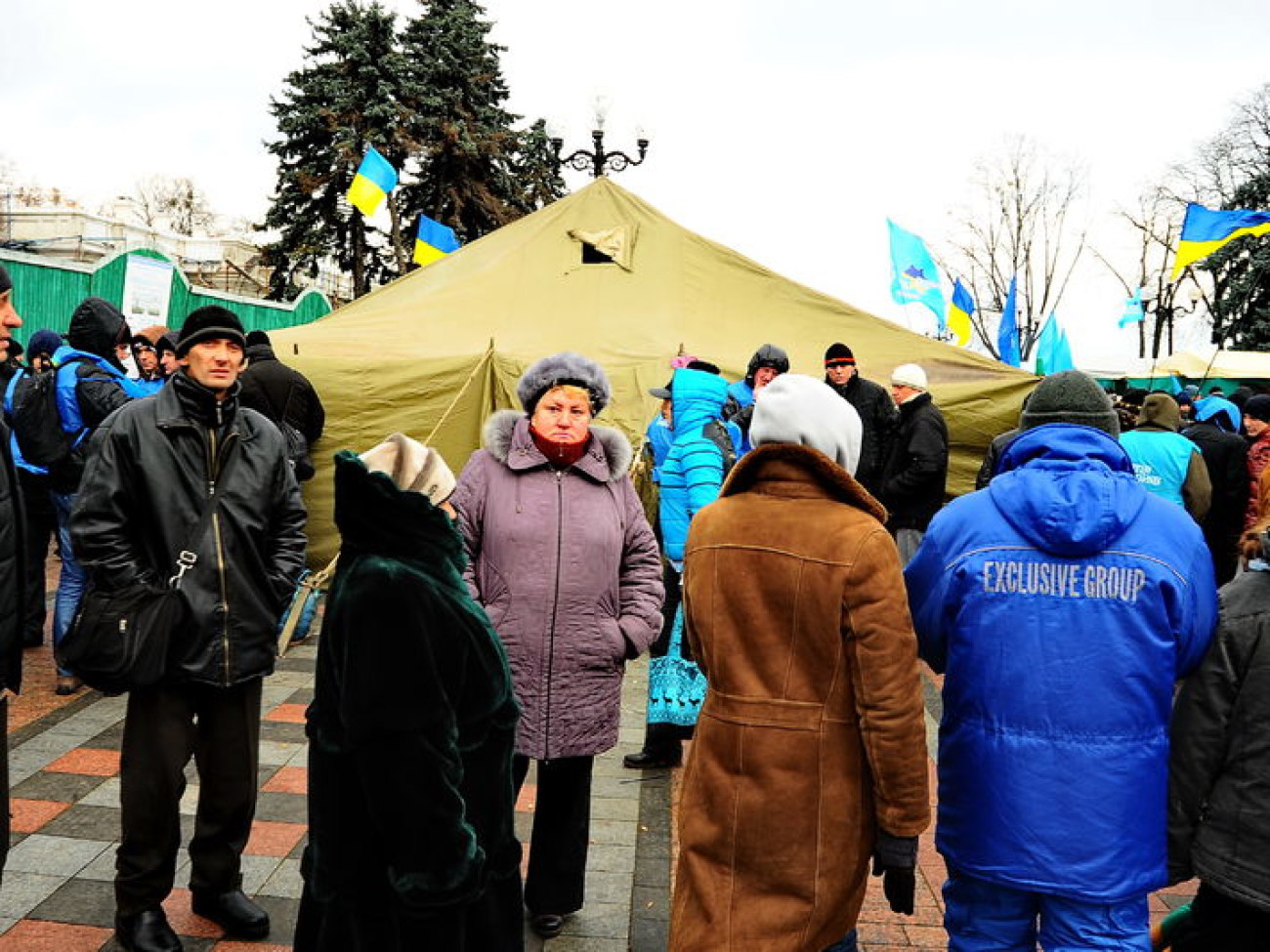 Митинг Партии регионов охраняет милиция, 5 декабря 2013г.