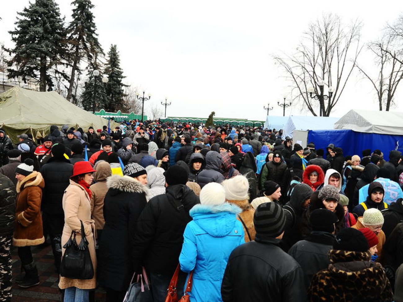 Митинг Партии регионов охраняет милиция, 5 декабря 2013г.