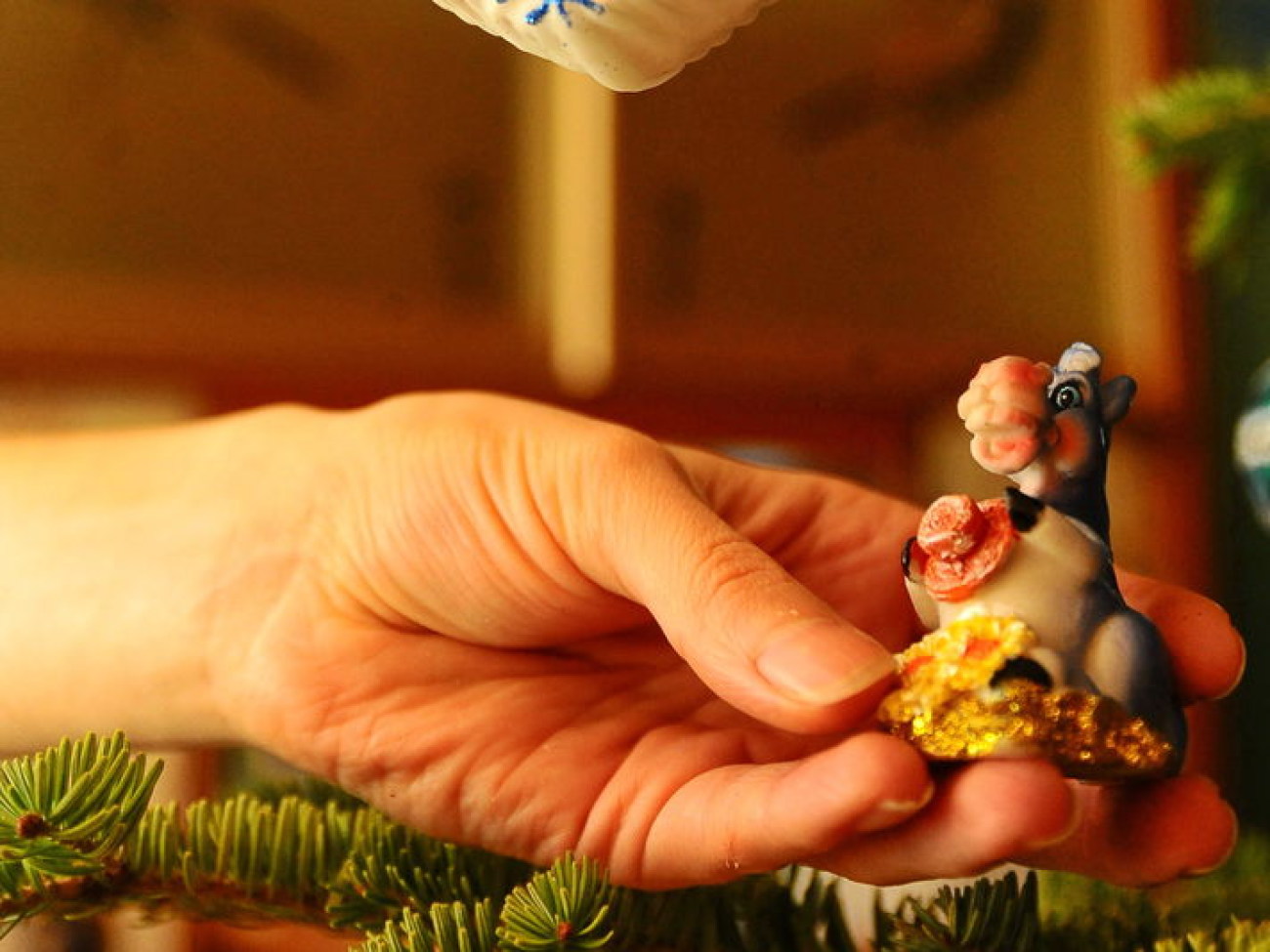 К нам пришел синий Конь