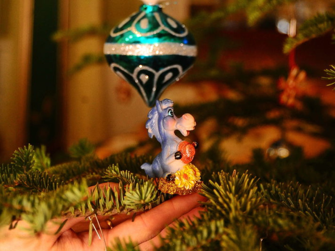 К нам пришел синий Конь