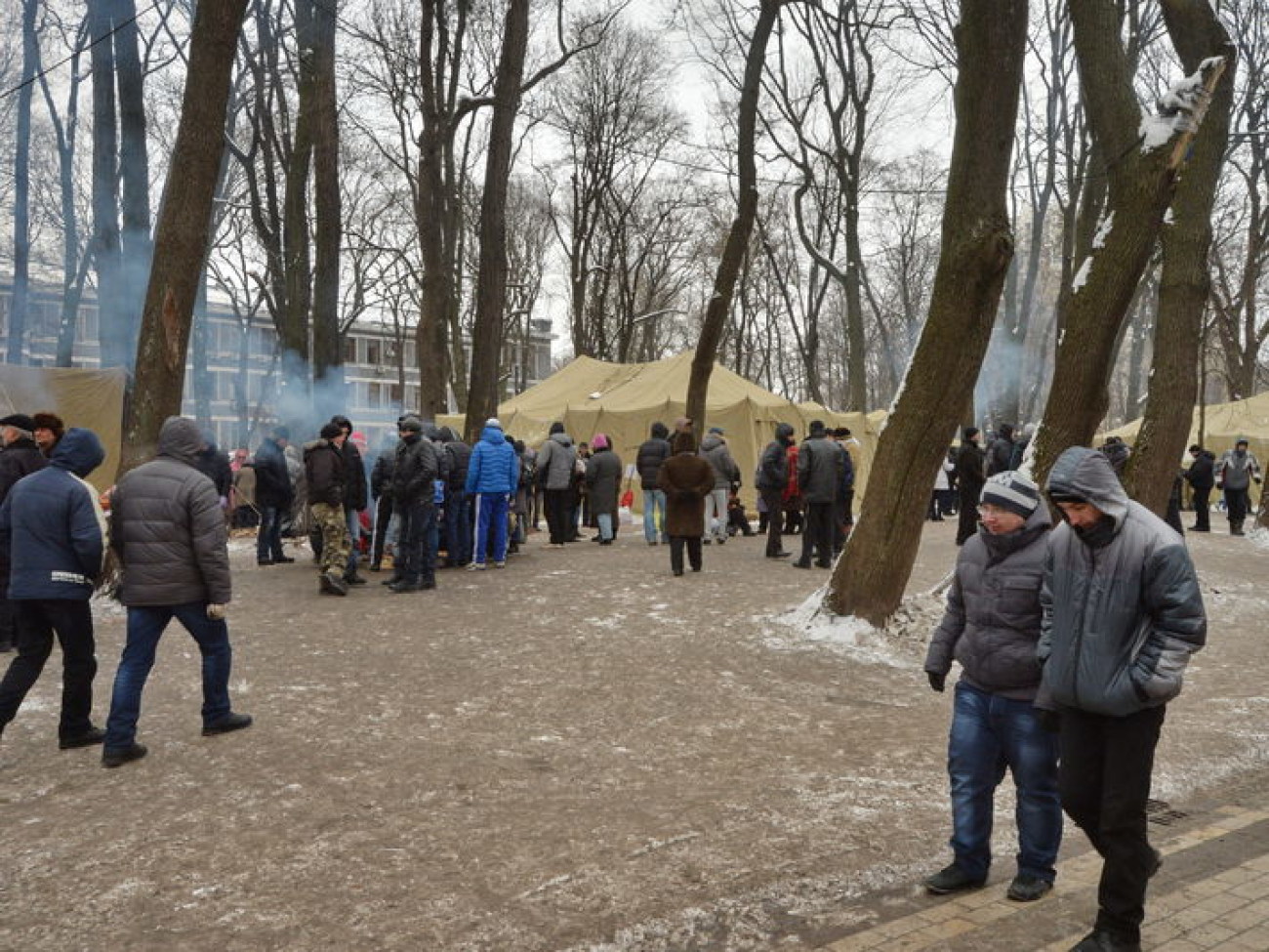 Антимайдан приехал поддержать власть всего на день, 28 января 2014р.