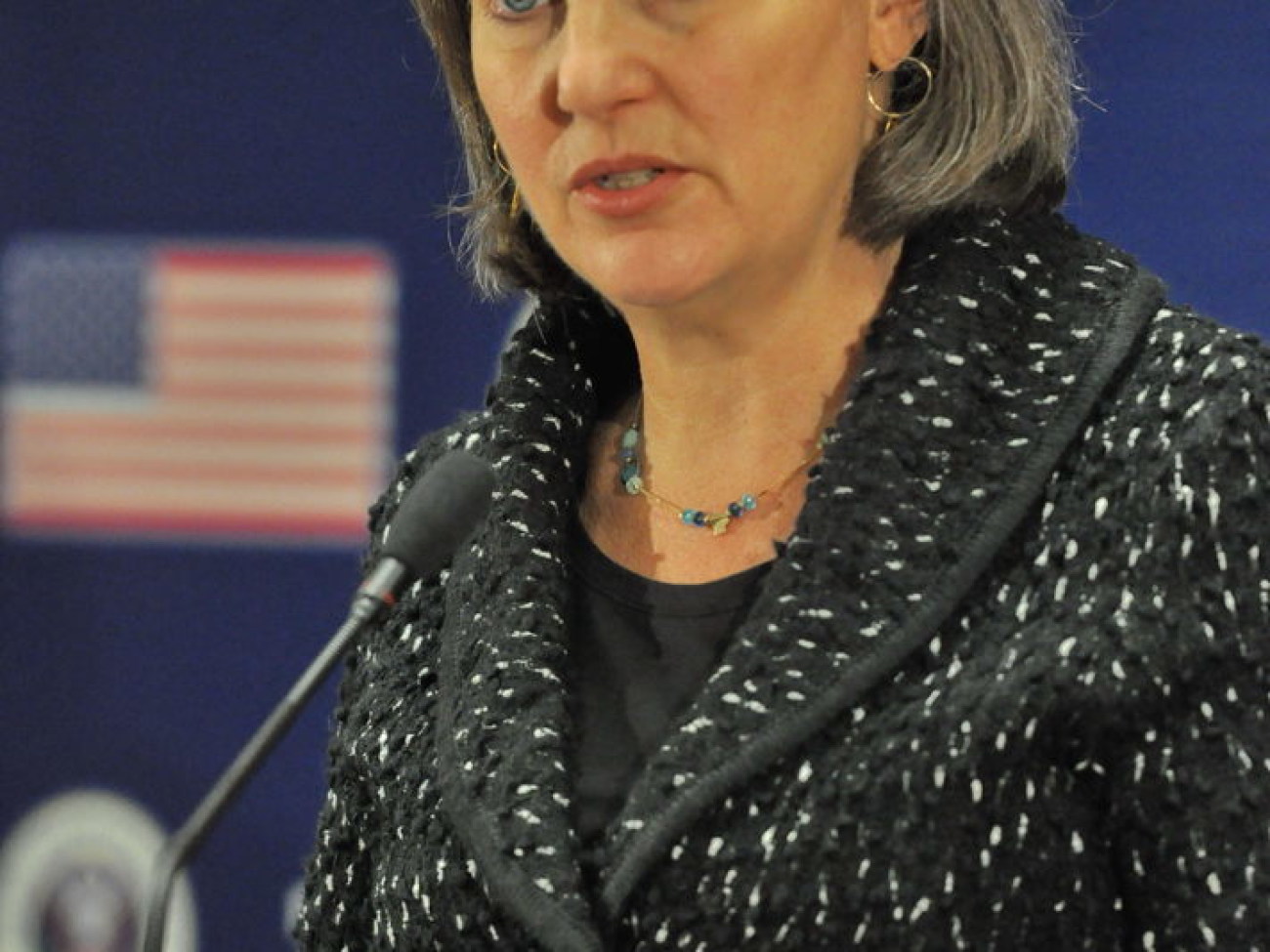 Виктория Нуланд дала пресс-конференцию в Киеве, 7 февраля 2014г.