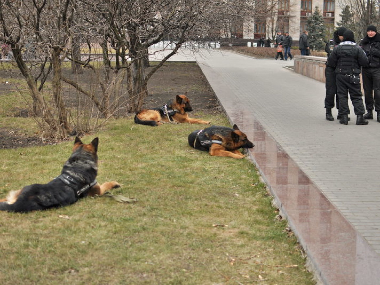 Донецкий облсовет охраняет милиция, 9 марта 2014г.