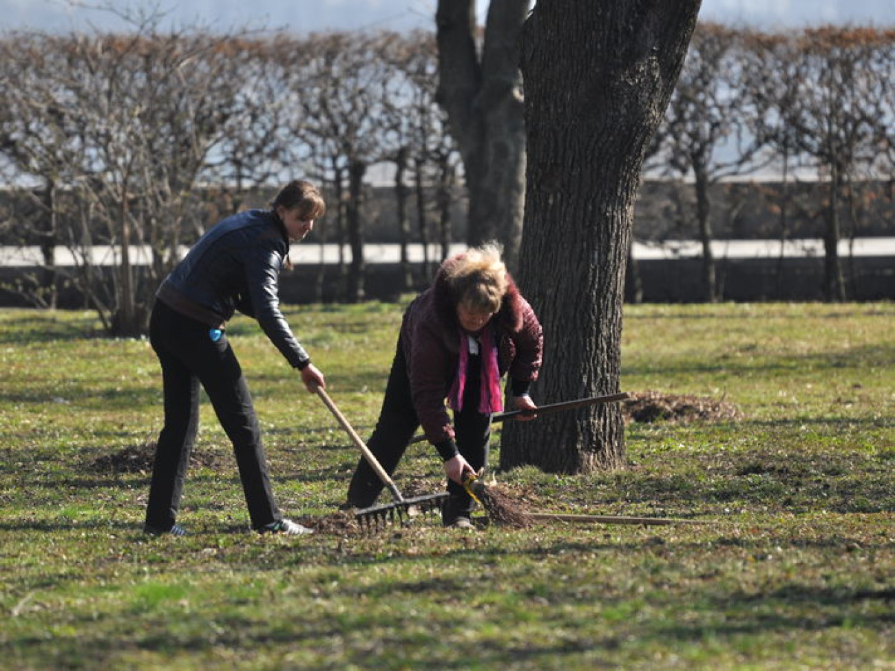 В Киеве провели генеральную уборку, 22 марта 2014г.