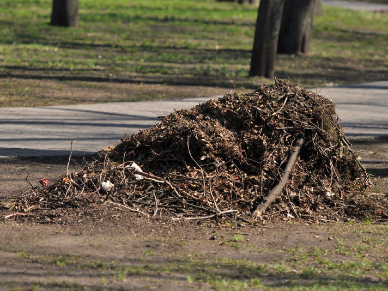 В Киеве провели генеральную уборку, 22 марта 2014г.