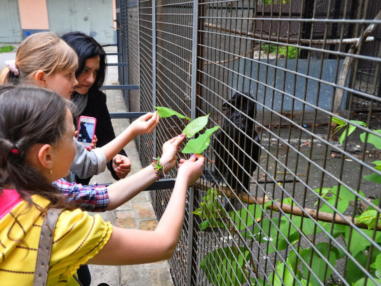 Кирилл, Карлуша и Корбин &#8212; современная леганда Киева&#8230;