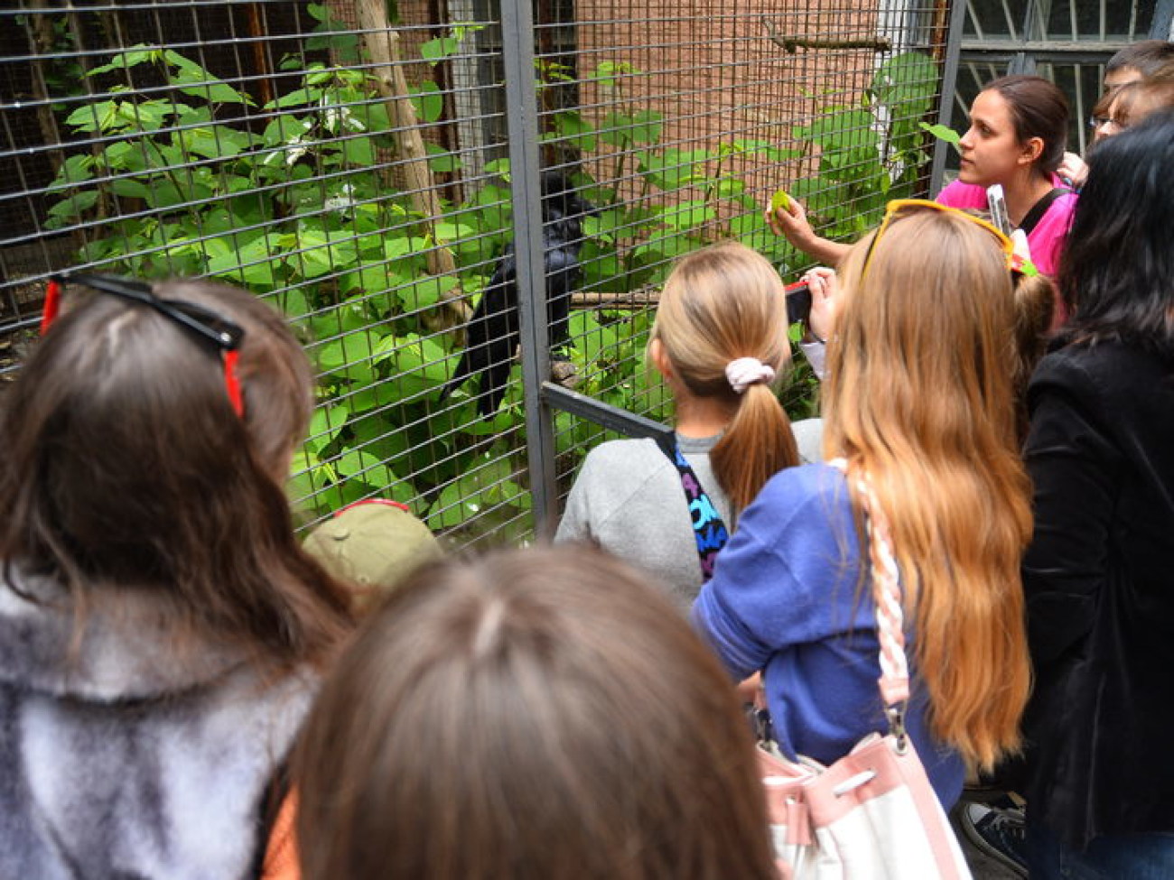 Кирилл, Карлуша и Корбин &#8212; современная леганда Киева&#8230;