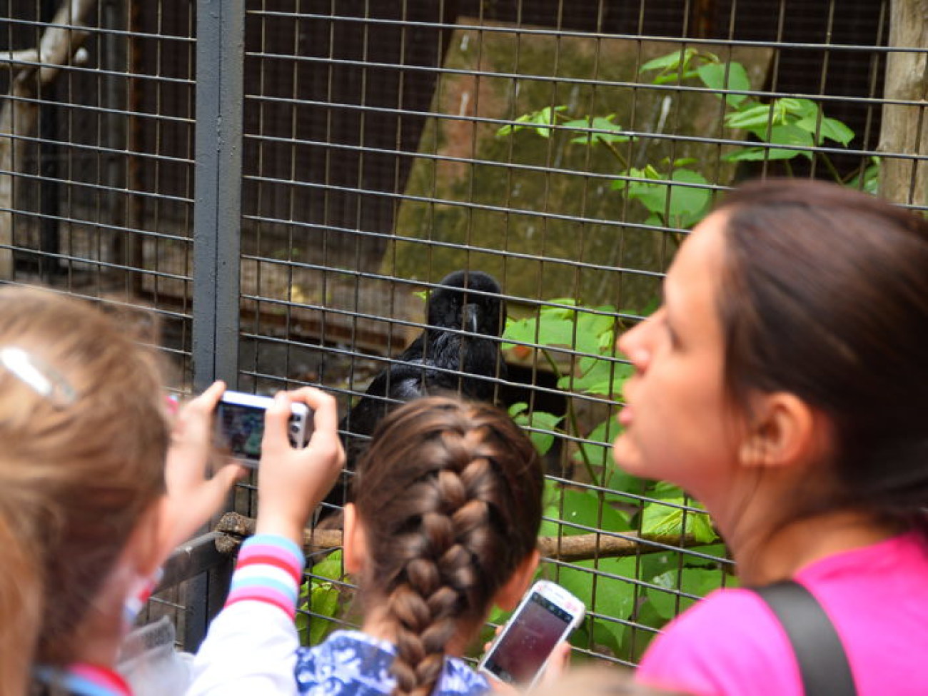 Кирилл, Карлуша и Корбин &#8212; современная леганда Киева&#8230;