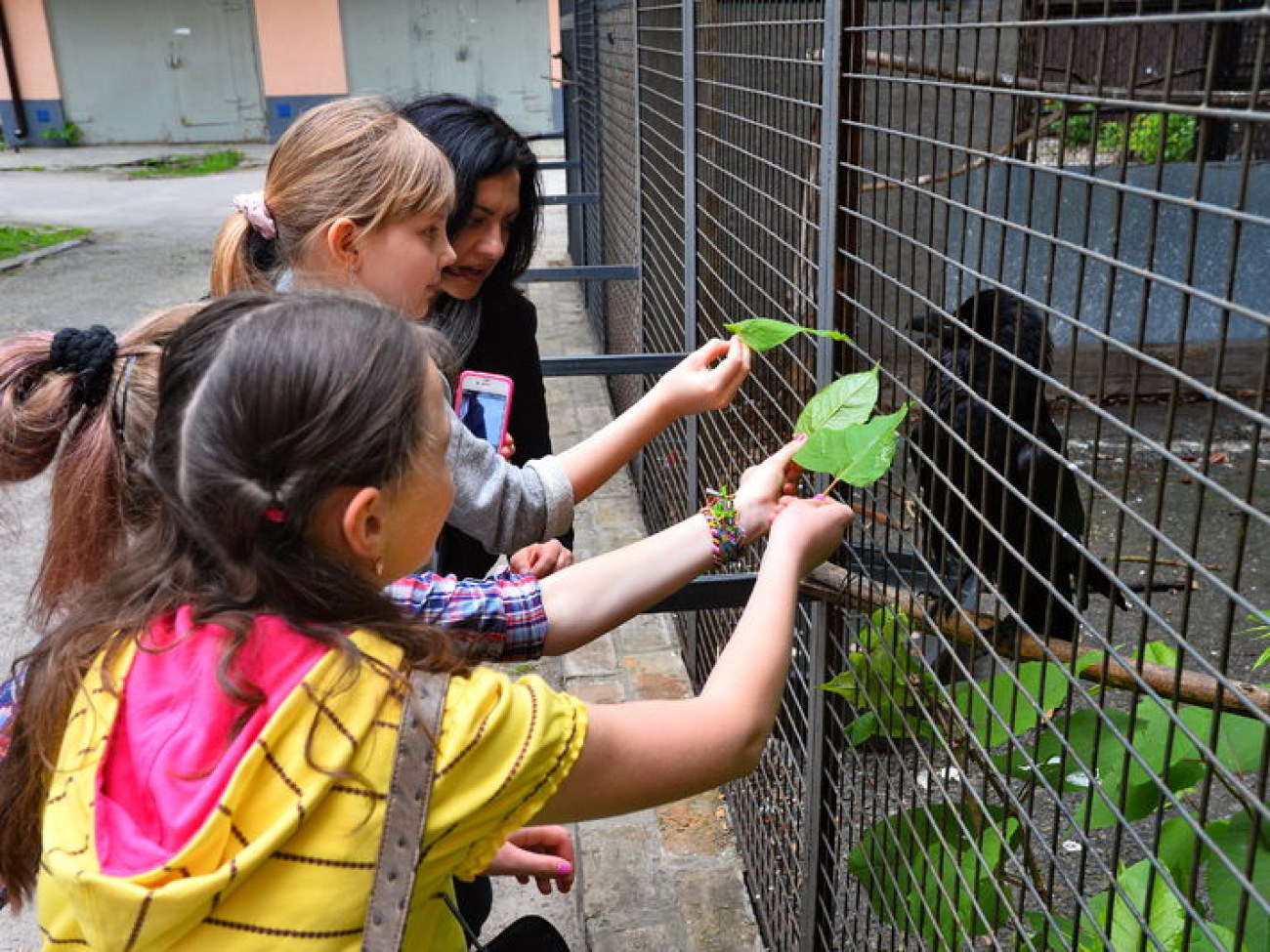 Кирилл, Карлуша и Корбин &#8212; современная леганда Киева&#8230;