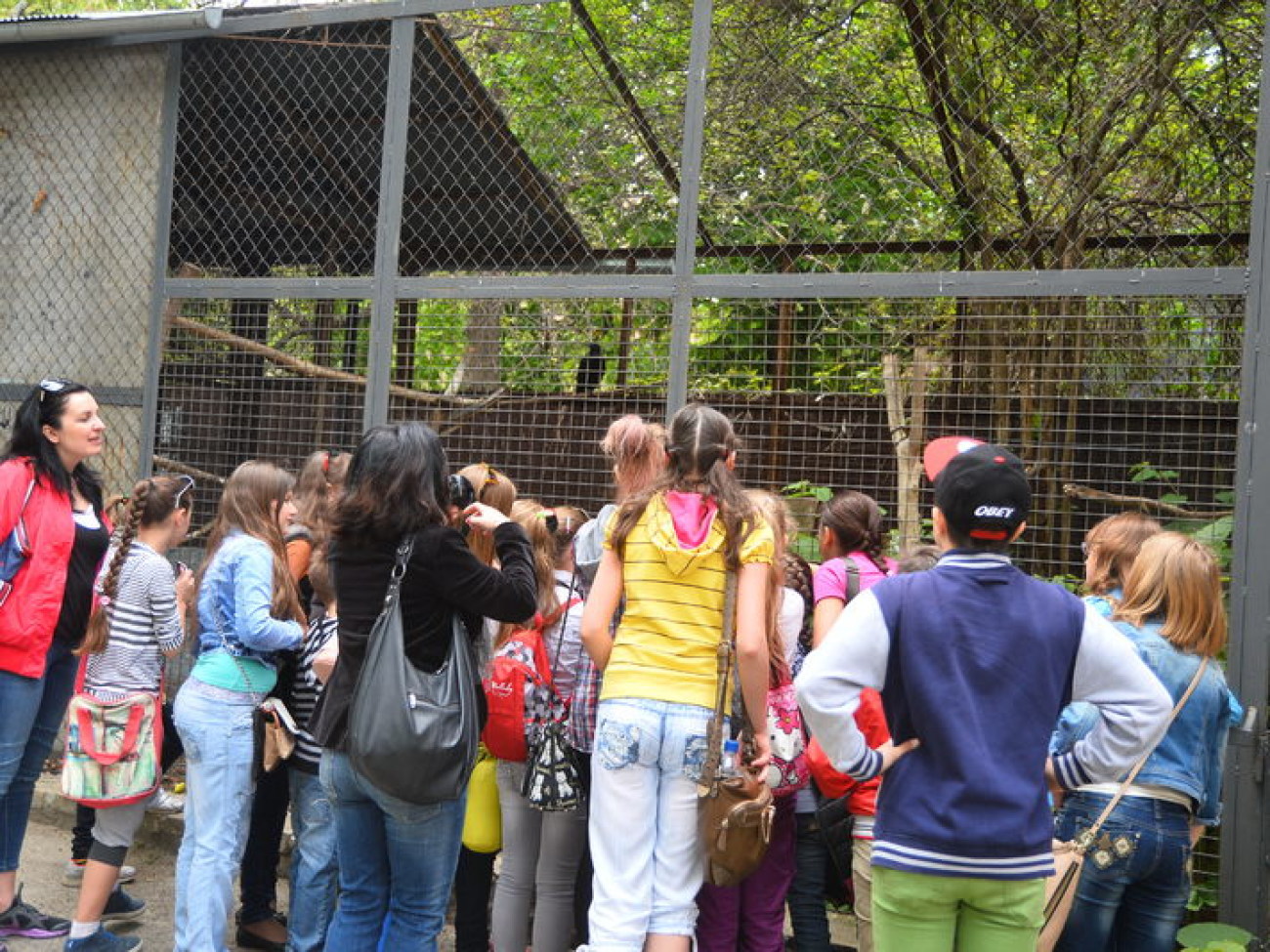 Кирилл, Карлуша и Корбин &#8212; современная леганда Киева&#8230;