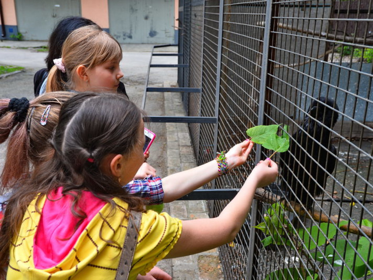 Кирилл, Карлуша и Корбин &#8212; современная леганда Киева&#8230;