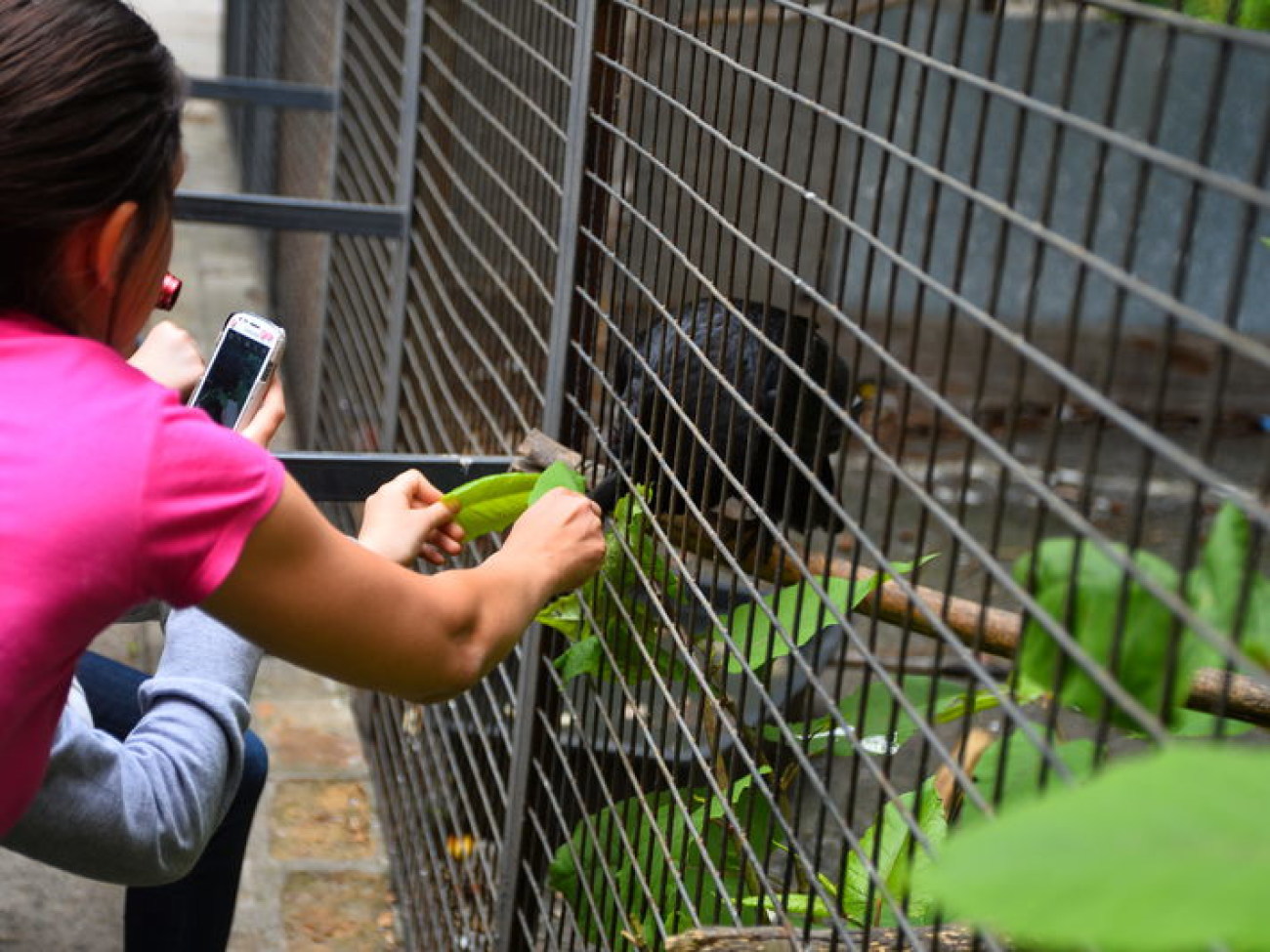 Кирилл, Карлуша и Корбин &#8212; современная леганда Киева&#8230;