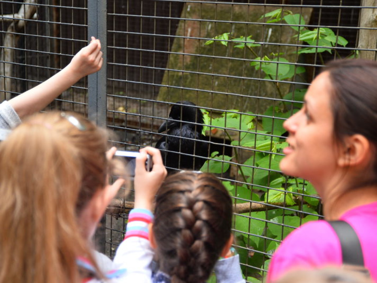 Кирилл, Карлуша и Корбин &#8212; современная леганда Киева&#8230;