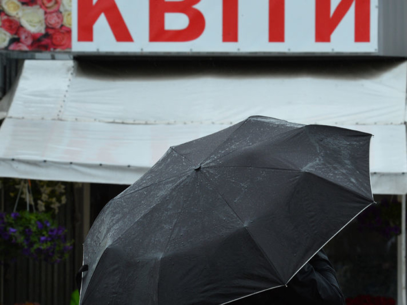 Украину накрыли дожди
