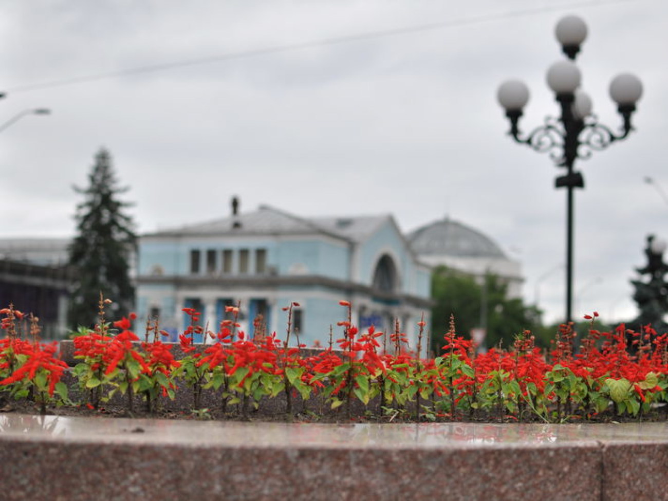 Патриотические и сказочные&#8230; клумбы и цветники Киева поражают своей красотой