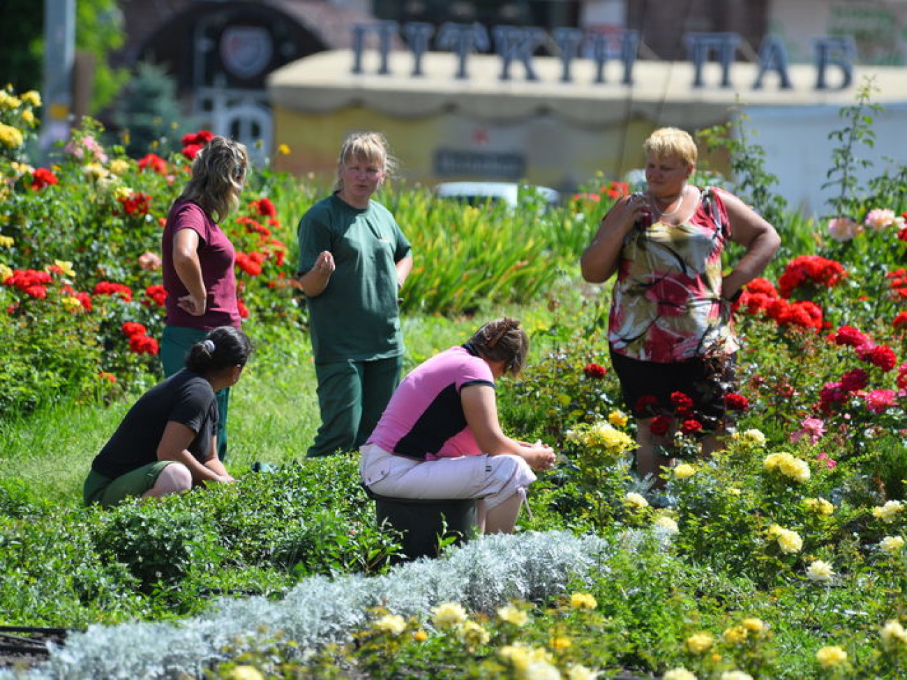 Патриотические и сказочные&#8230; клумбы и цветники Киева поражают своей красотой