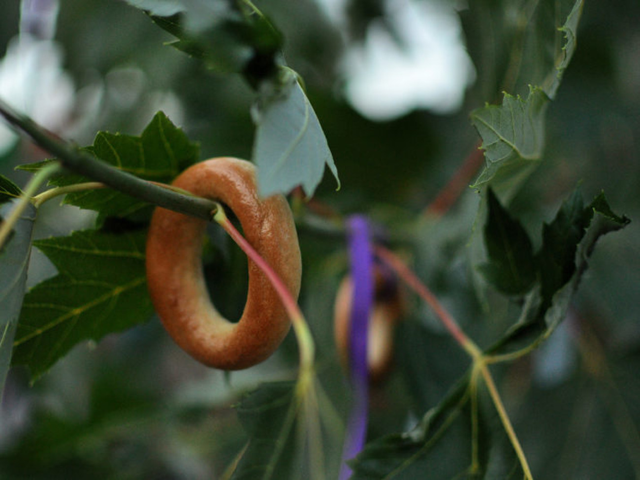 Праздник Ивана Купала в Мамаевой Слободе