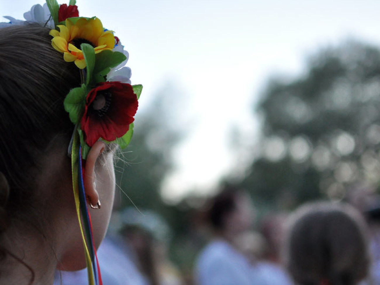 Праздник Ивана Купала в Мамаевой Слободе