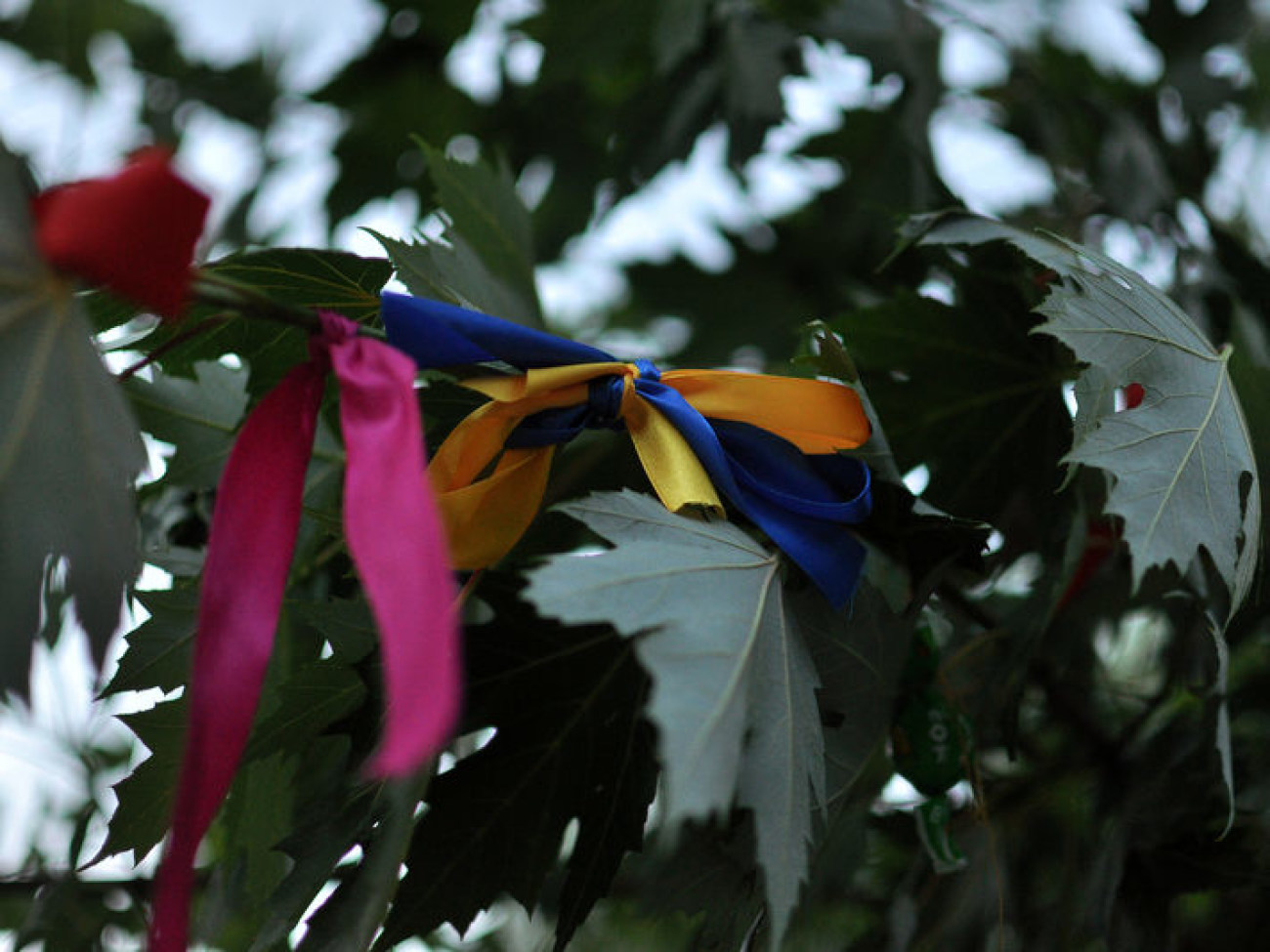 Праздник Ивана Купала в Мамаевой Слободе