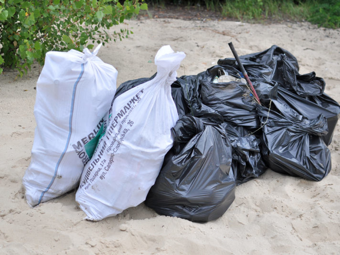 Природоохранная акция «Освободим острова от мусора»