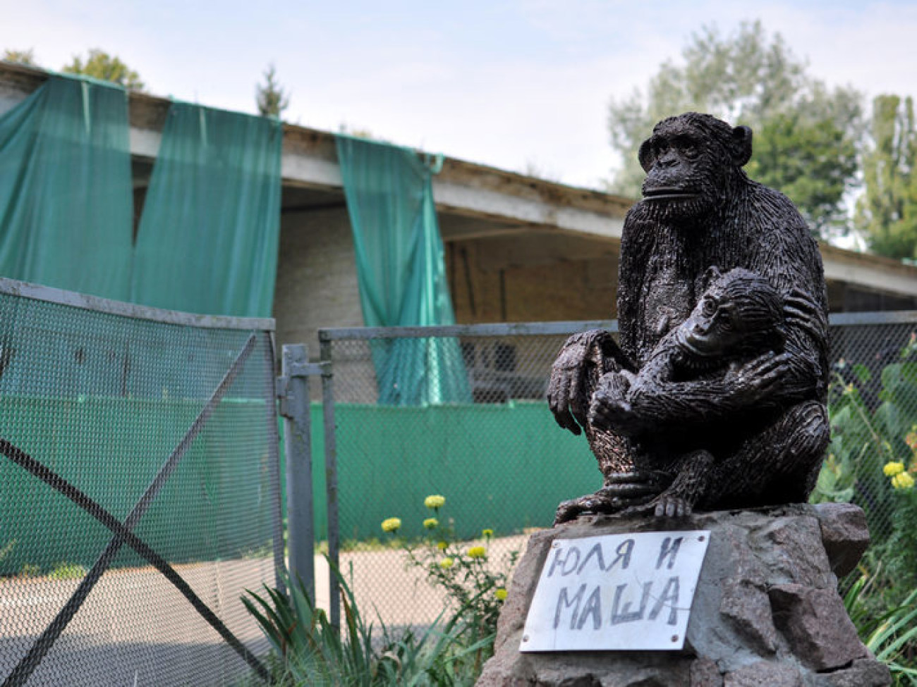 Горилла Тони отпраздновала День рождения&#8230; кто еще остался в киевском зоопарке?