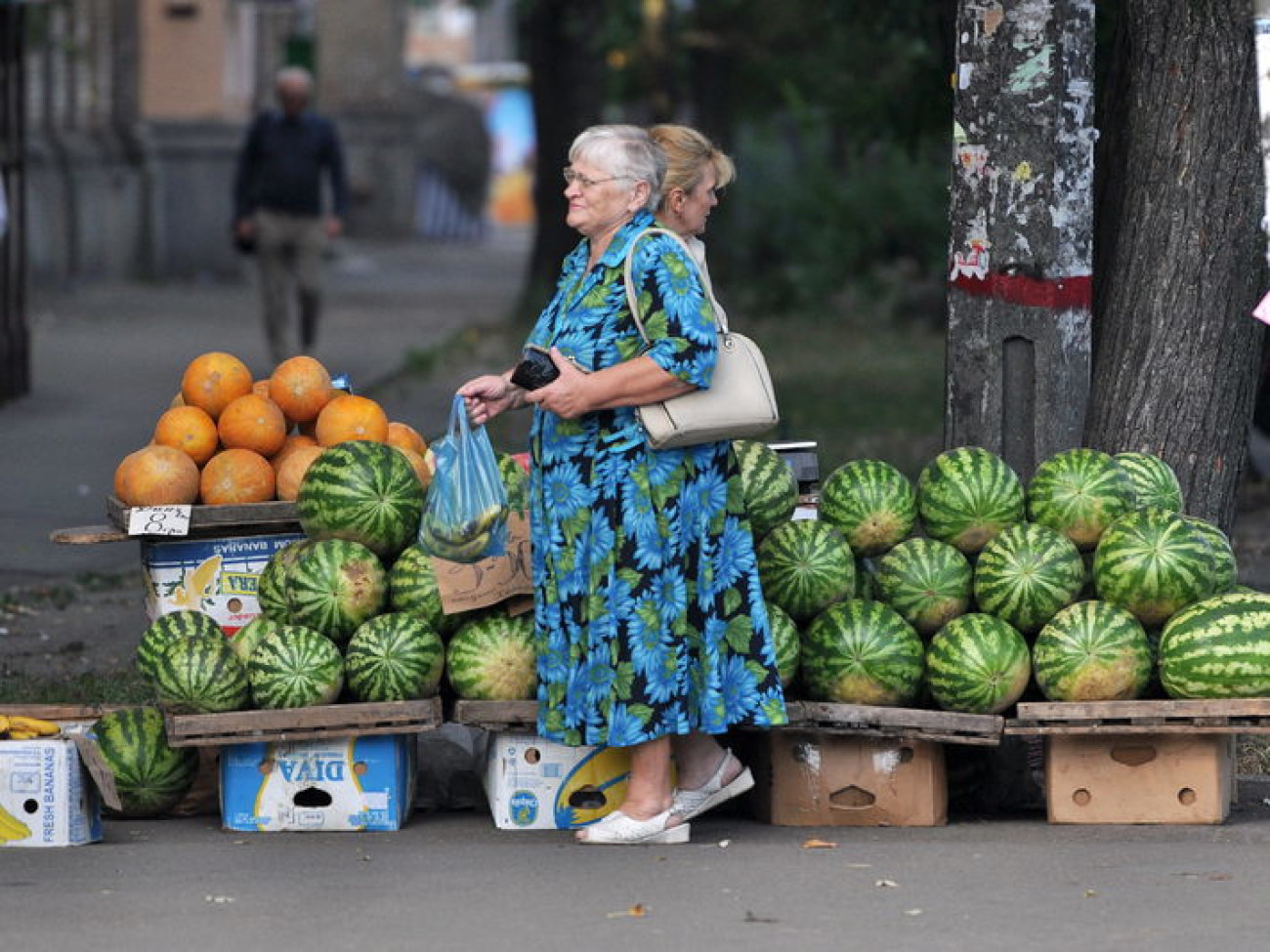 Из сезонных овощей в этом году доступна только картошка