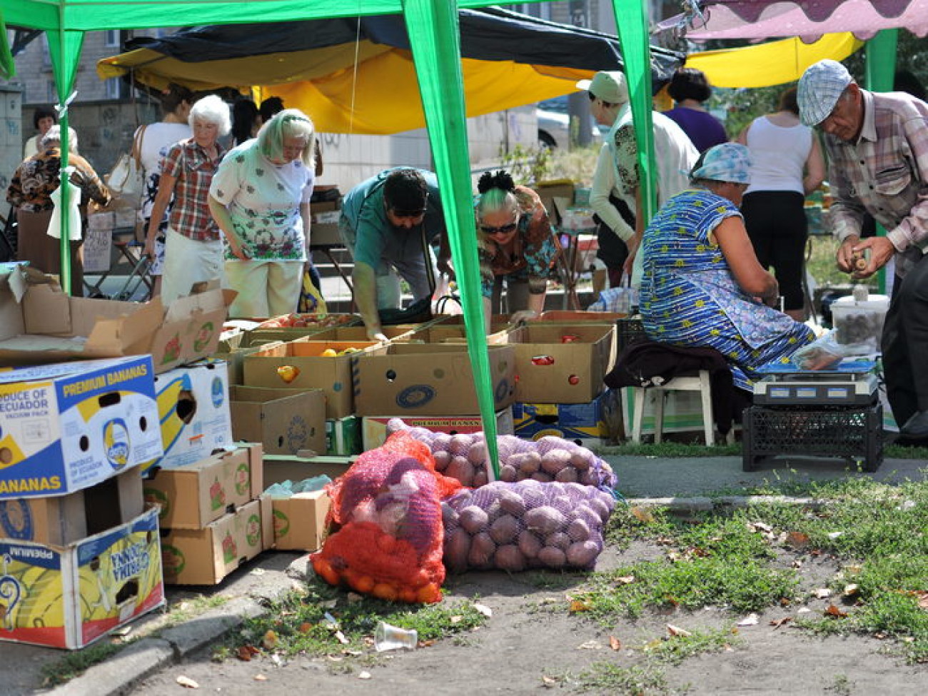 Из сезонных овощей в этом году доступна только картошка