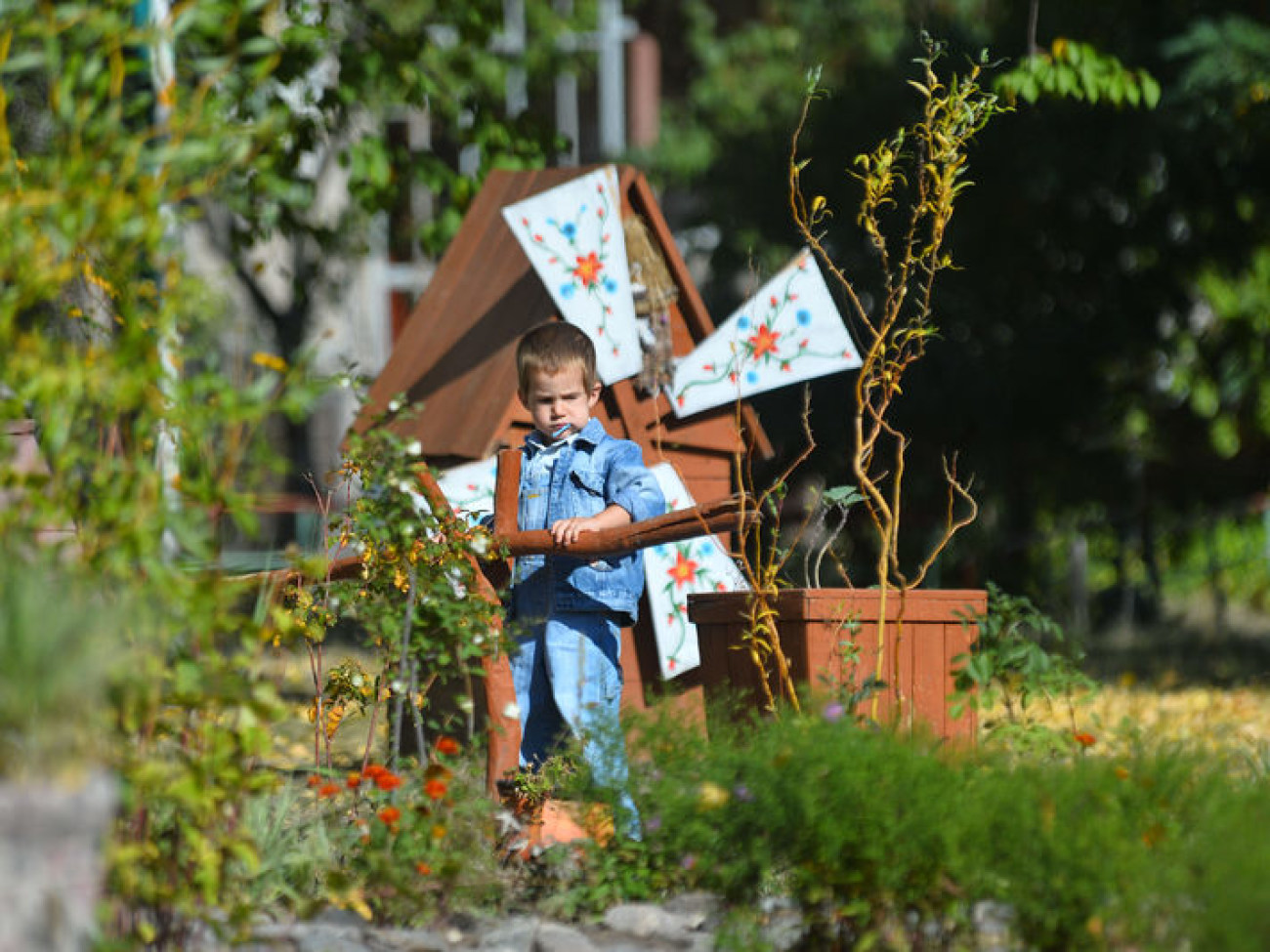 Новая тенденция Киева: жители сами украшают свои дворы