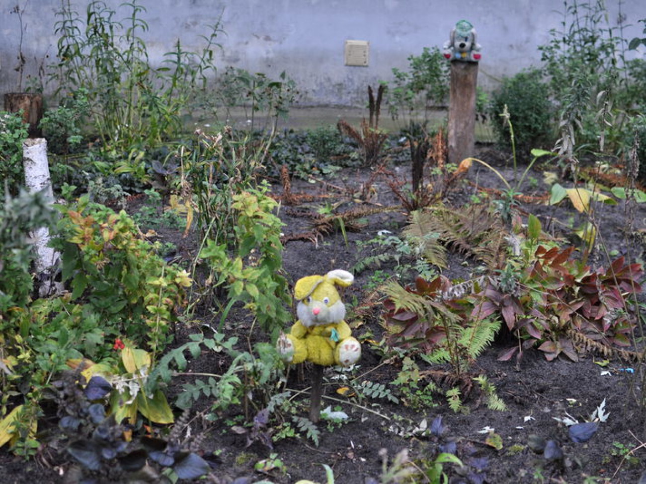 Новая тенденция Киева: жители сами украшают свои дворы