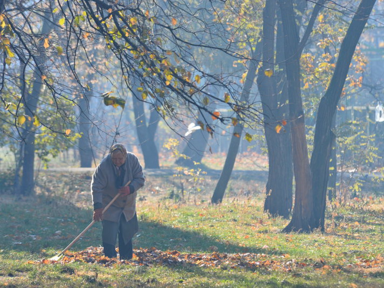 Осенняя пора&#8230; пора уборки листьев&#8230;