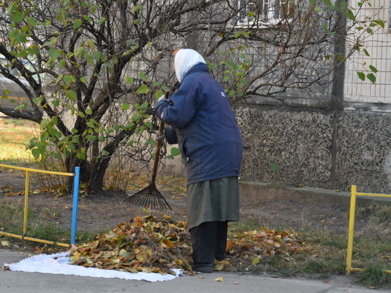 Осенняя пора&#8230; пора уборки листьев&#8230;