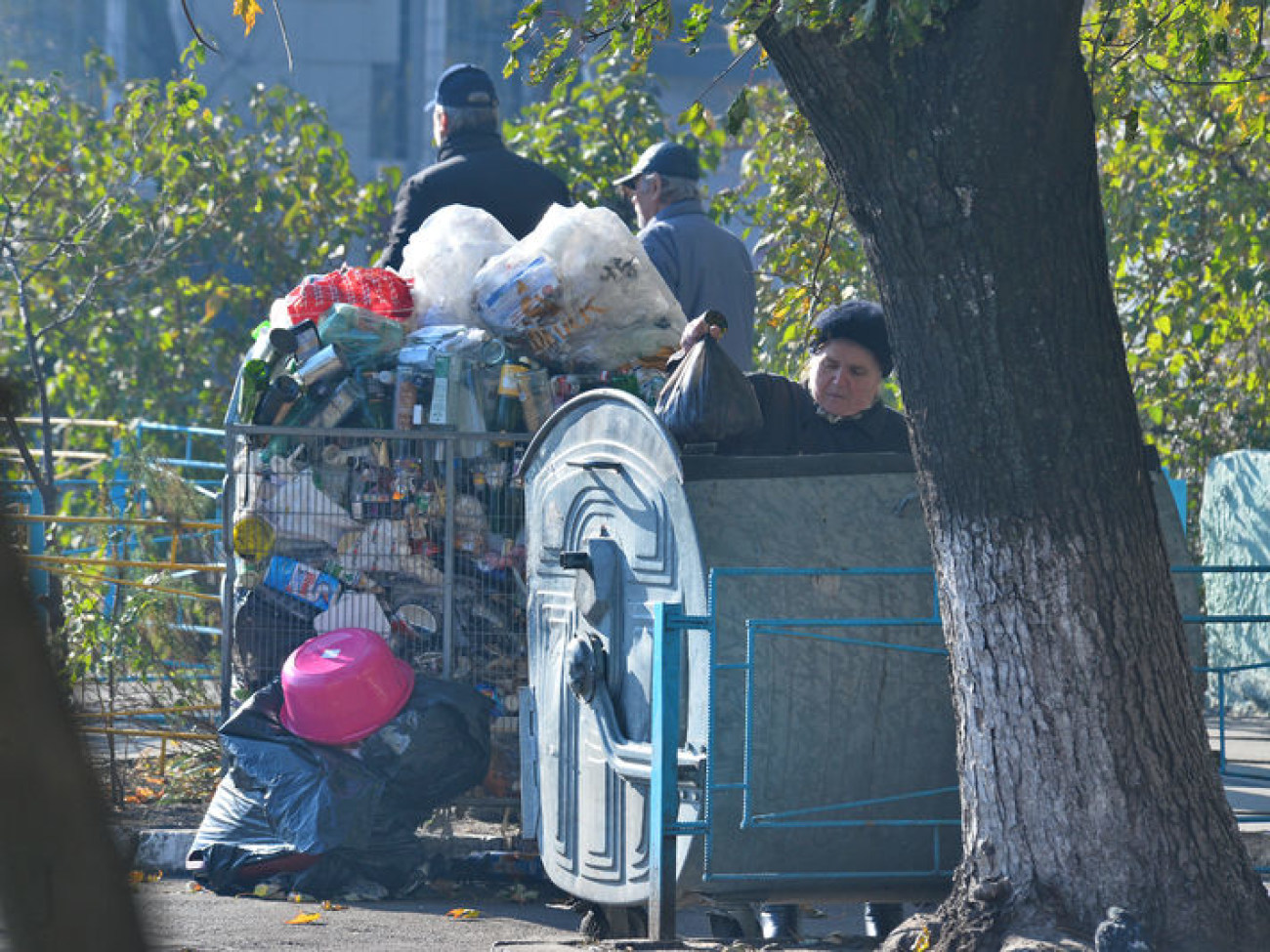 Осенняя пора&#8230; пора уборки листьев&#8230;