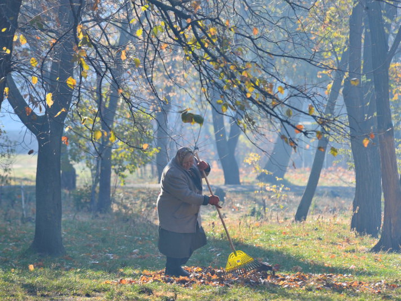 Осенняя пора&#8230; пора уборки листьев&#8230;