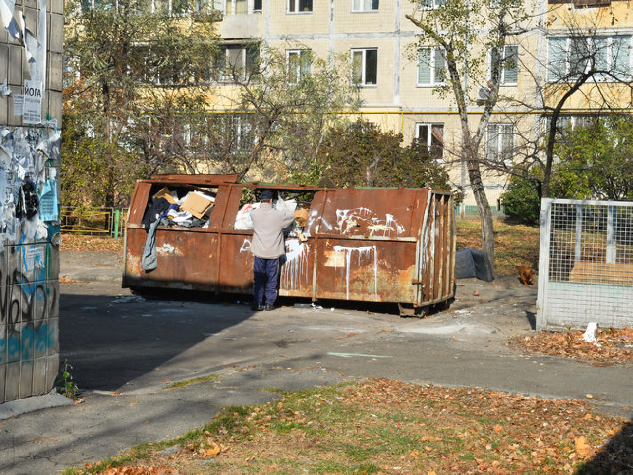 Осенняя пора&#8230; пора уборки листьев&#8230;