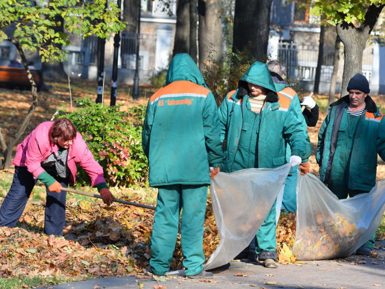 Осенняя пора&#8230; пора уборки листьев&#8230;