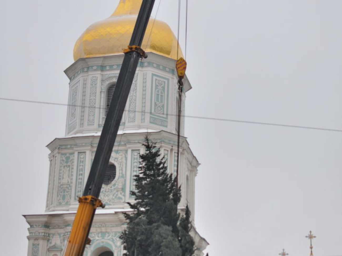 В Киев приехала главная елка Украины