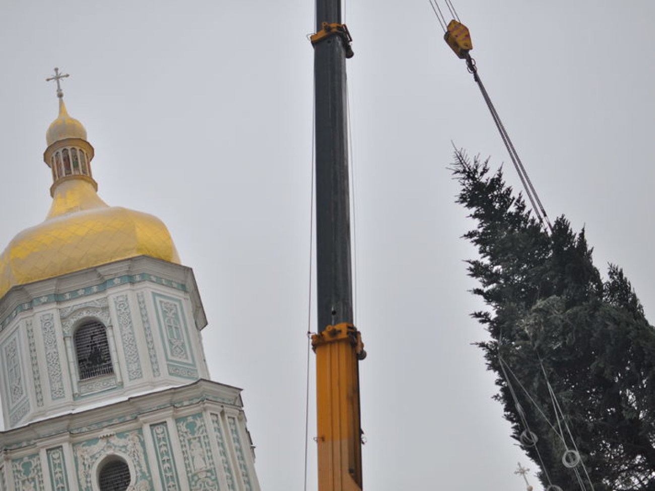 В Киев приехала главная елка Украины