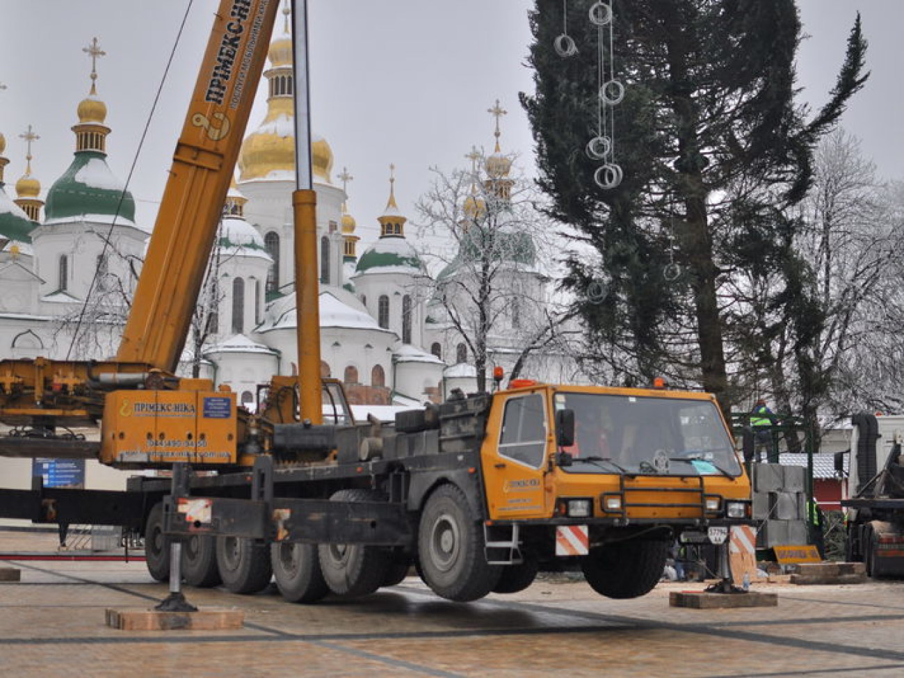 В Киев приехала главная елка Украины