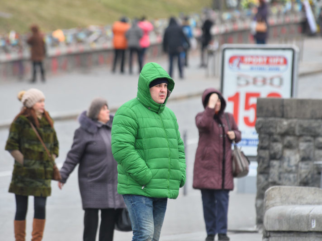 В тренде&#8230; или Кто готов соответствовать сине/зеленой козе