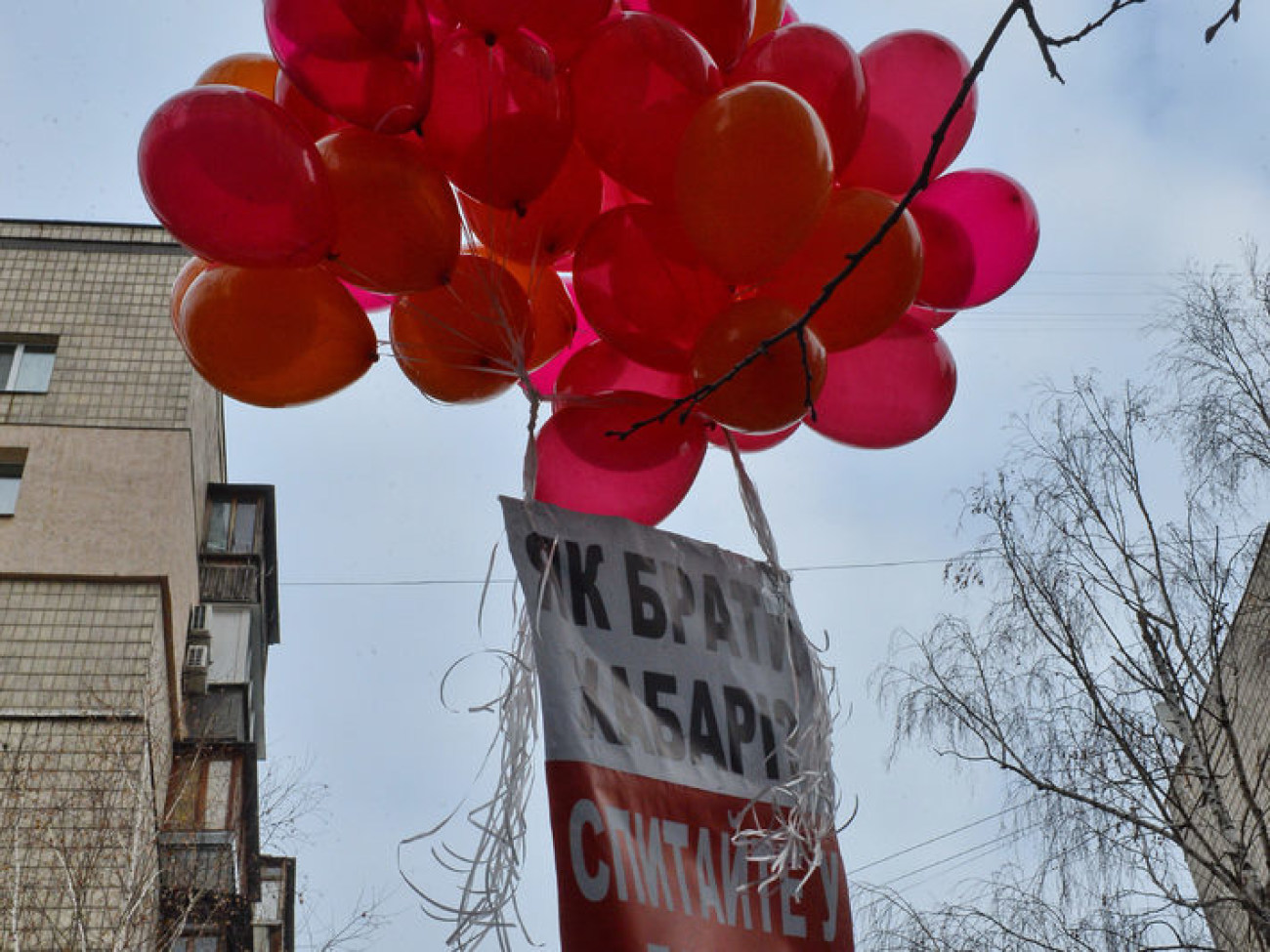 Житомирские кондитеры требуют отставки Генпрокурора