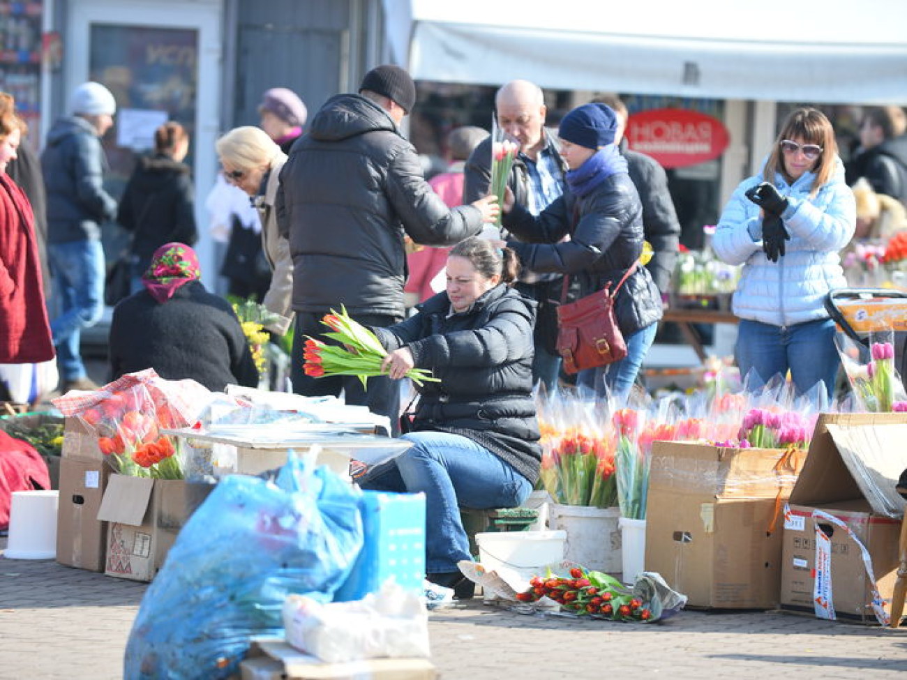 Красиво и дорого&#8230; В канун 8 Марта цены на цветы &#171;кусаются&#187;