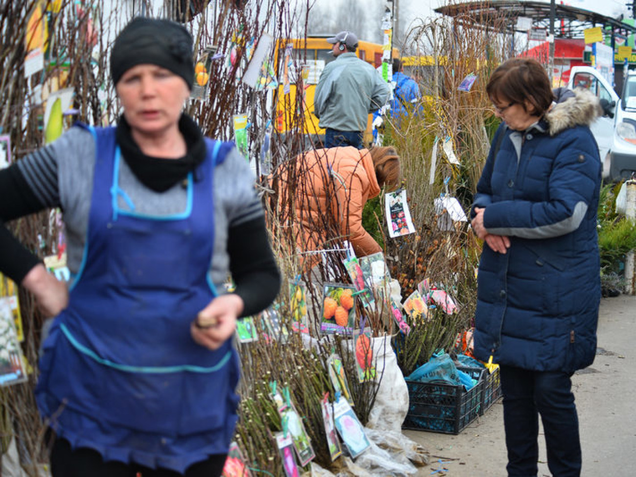 В Украине начался дачный сезон