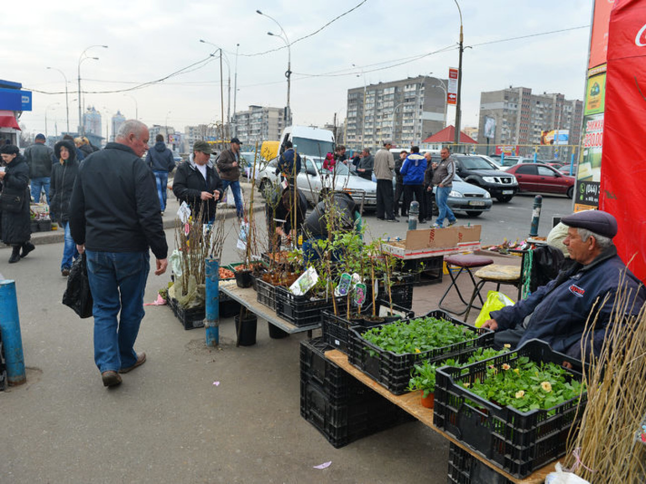 В Украине начался дачный сезон