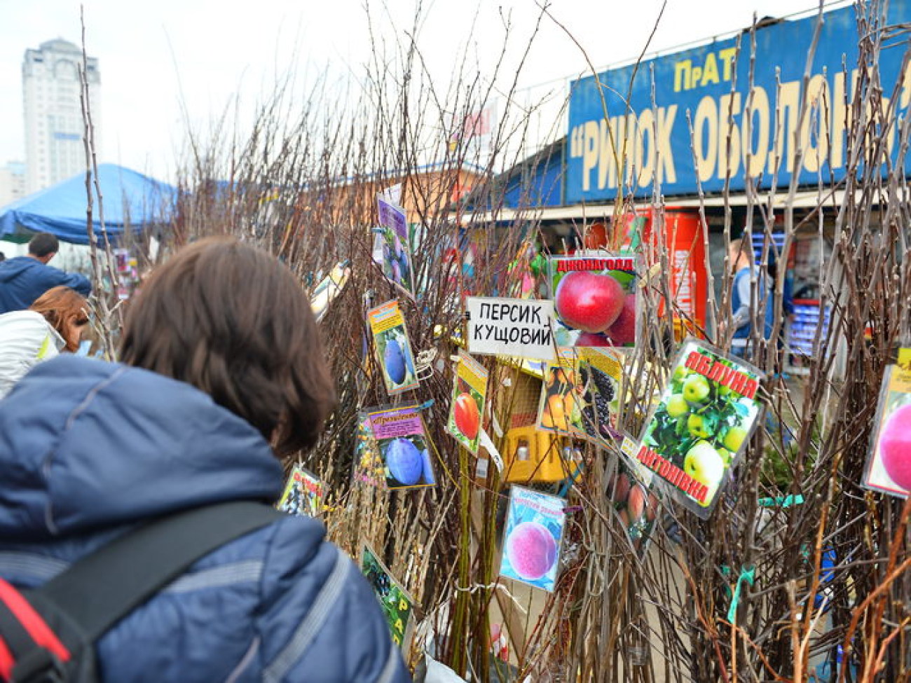 В Украине начался дачный сезон