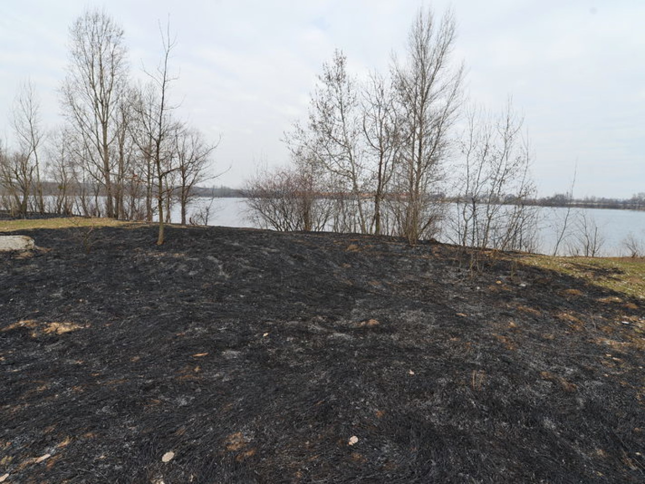 Мусор и пожары: &#171;Верблюжий&#187; залив в Киеве превратился в свалку