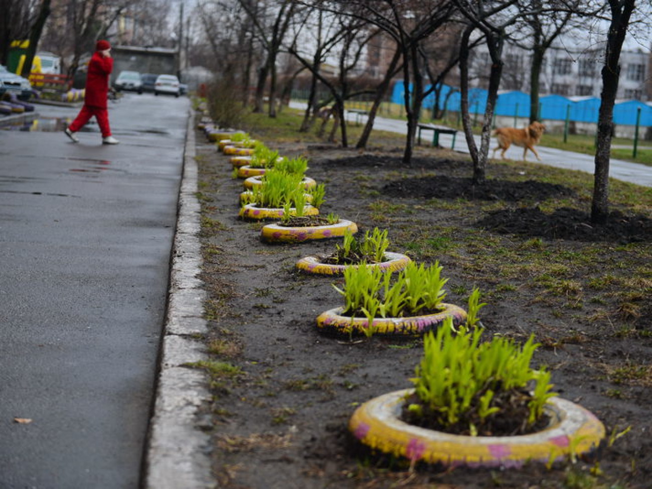 В столице началась неделя весеннего дождя