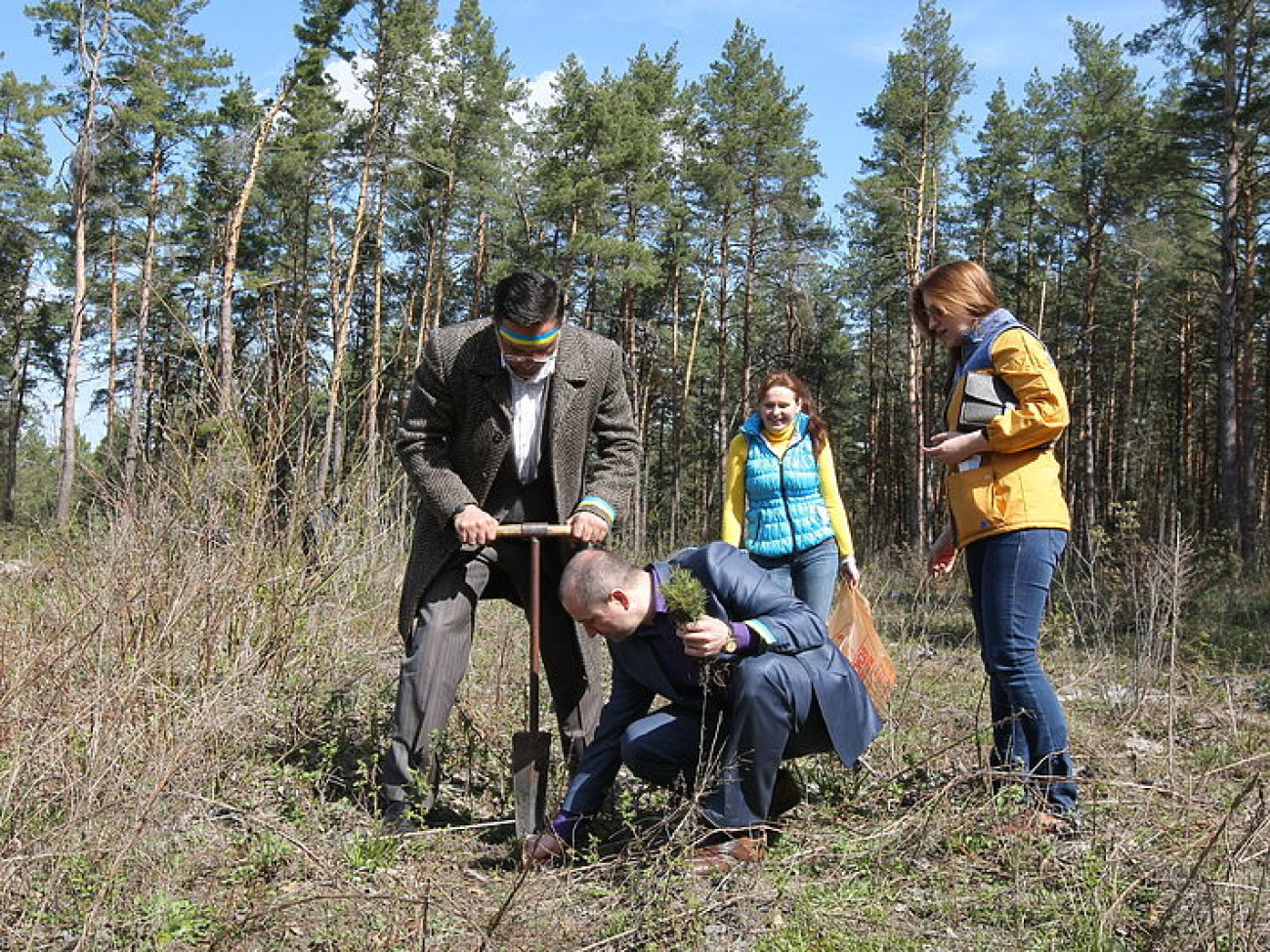 В лесу под Киевом активисты высадили 2000 сосен
