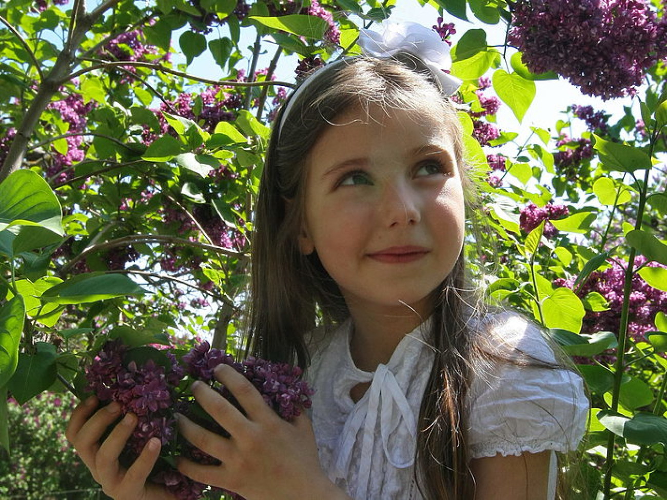 В Киевском ботсаду весенний наплыв любителей сирени, зелени и цветов